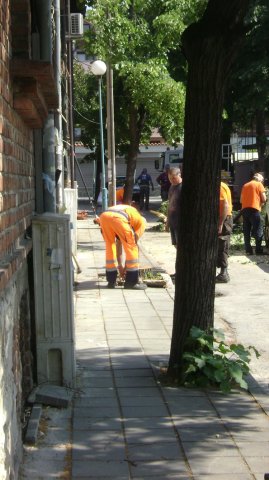 DSC05794-1