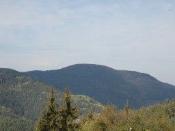 DSC_9146