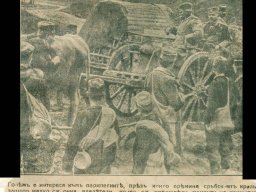 крал петър