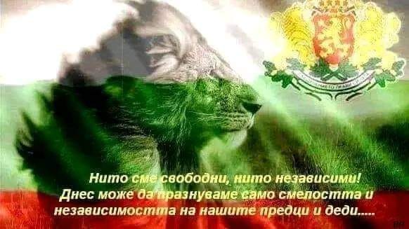 Нито свободни нито независими~0