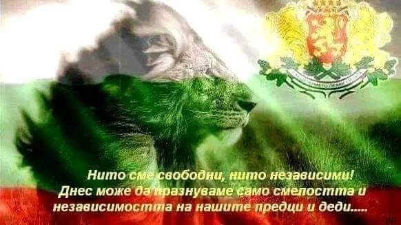 Нито свободни нито независими~0