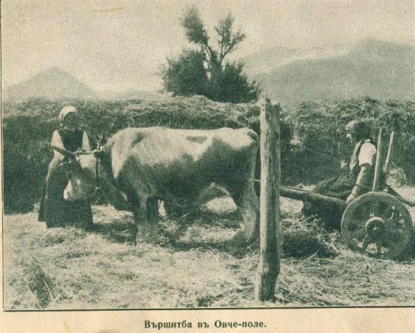 Вършитба