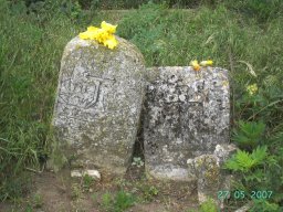 PICT2446