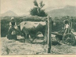Вършитба