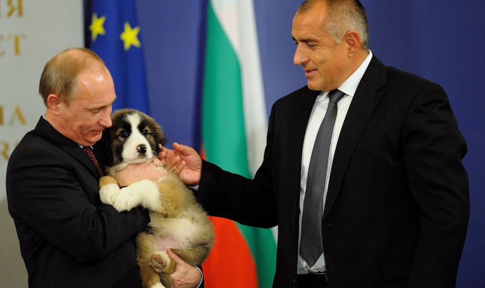 Бойко и Путин с кученцето