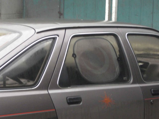 CIMG0353