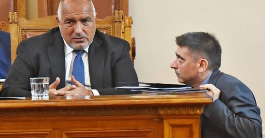 Пуделчето на Бойко