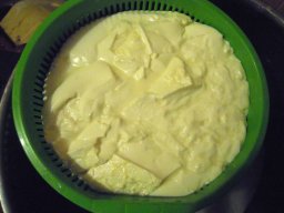 DSCN0278