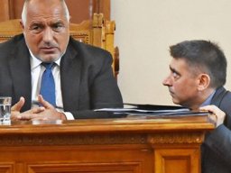 Пуделчето на Бойко