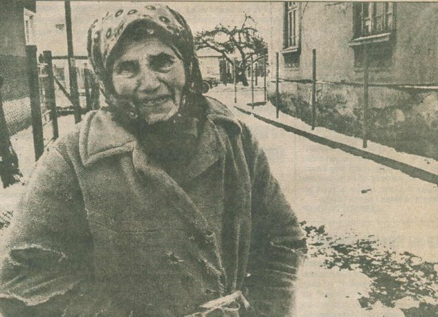 катерина берова
