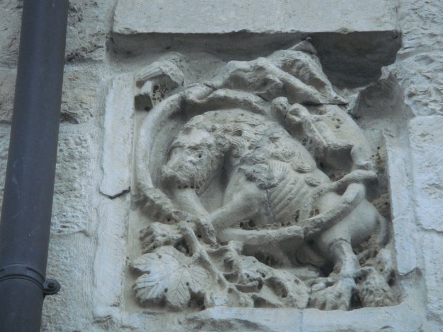 DSC05791