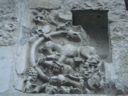 DSC05787