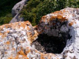 IMG_20160814_143657[1]