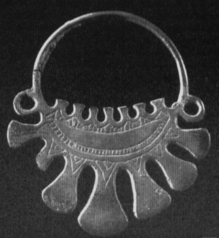 radimicheskikurgani