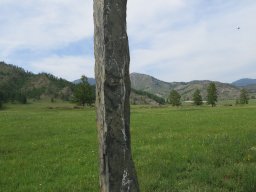 IMG_0890