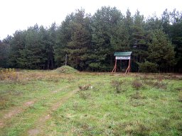 IMG_0002_