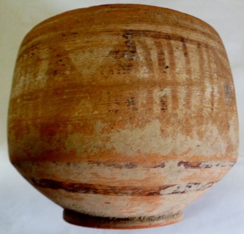 indus valey-peperuda
