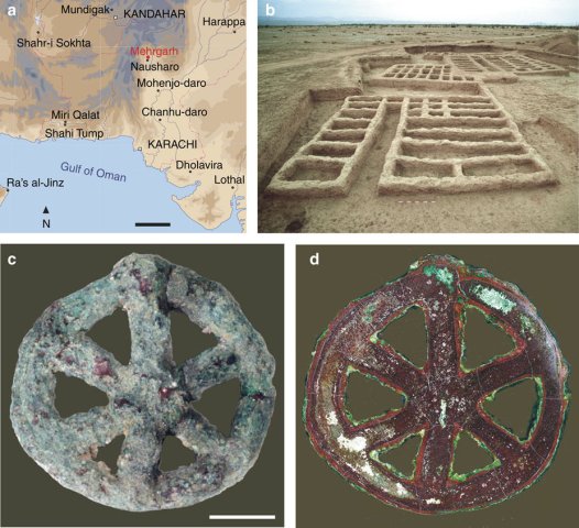 mehrgarh wheel