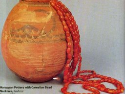 Harappan-Pottery-with-Carnelian-Bead-Necklace-Burzhoke-Kashmir.-Source-JM-Kenoyer