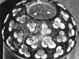 ScreenShot113