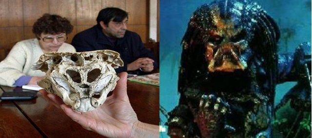 cherep i predator