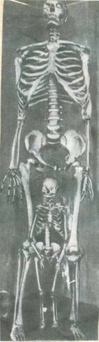 velikan