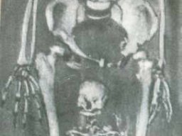 velikan