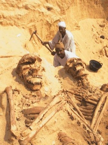 Arab archeologists have found giant skeletons burried