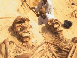 Arab archeologists have found giant skeletons burried