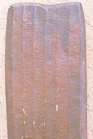 pashatabl