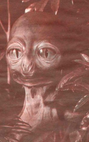 Reptiloid