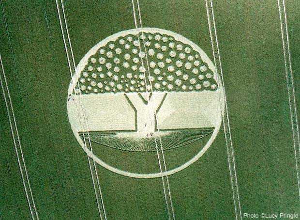 crop circle_31