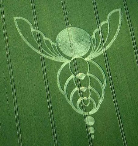 crop circle_49