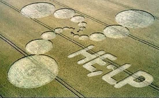 crop circle_6
