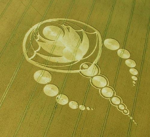 crop circle_60