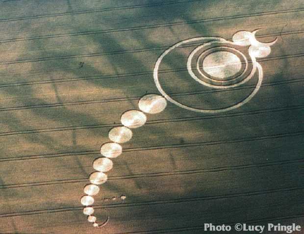 crop circle_70