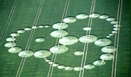 crop circle_90