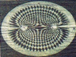 crop circle_11