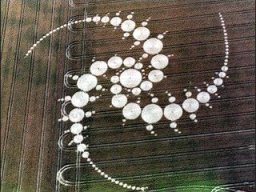 crop circle_2