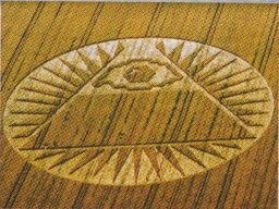 crop circle_24
