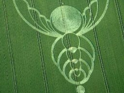 crop circle_49