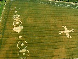 crop circle_62
