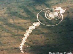 crop circle_70