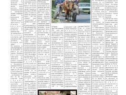suprotiva-nov2005-09